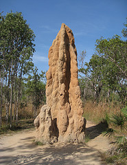 Cathedral Termite Mound, by flickr.com/brewbooks